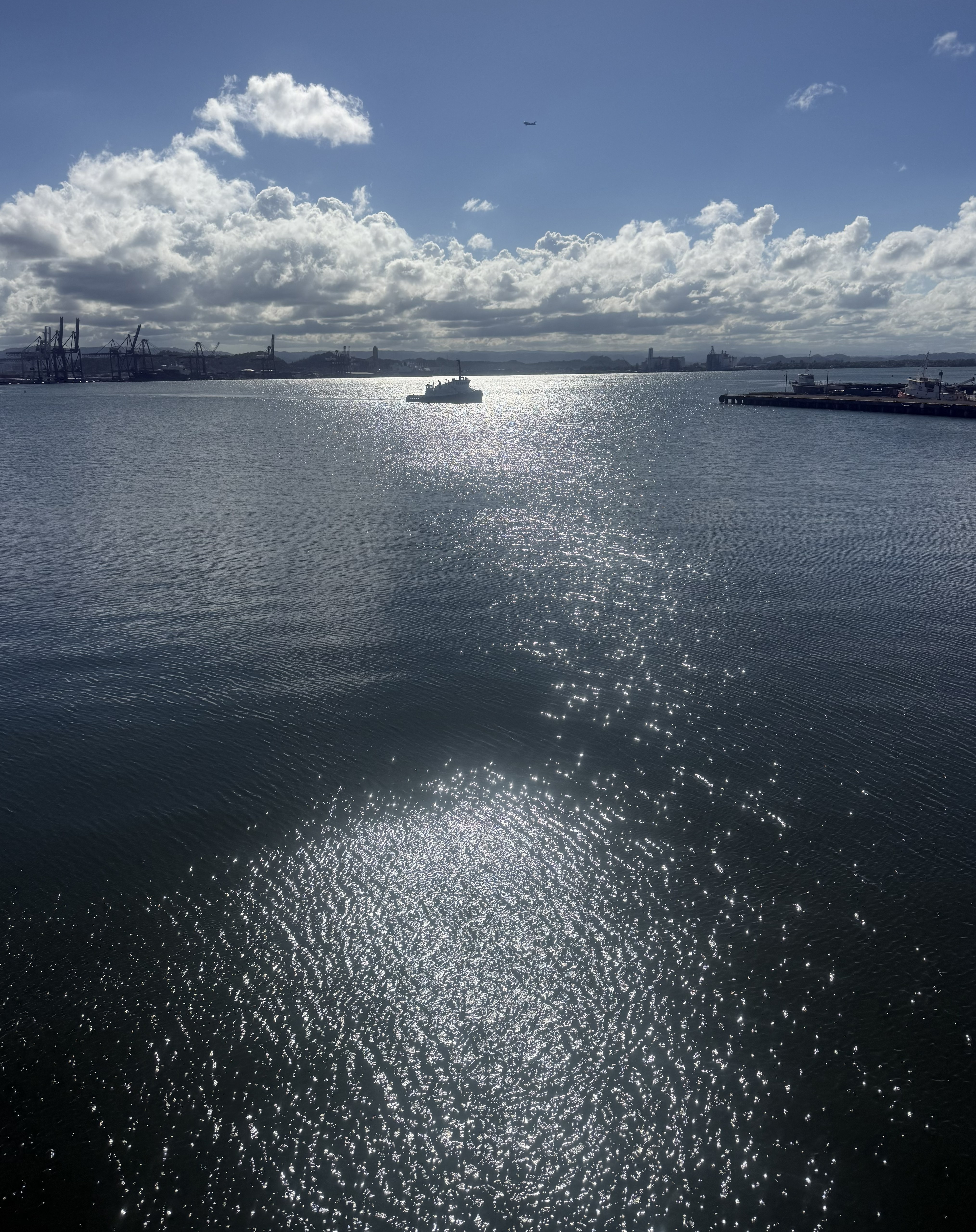 MV Dawn QHSE project management - foto 5